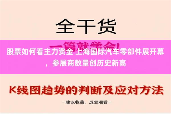 股票如何看主力资金 上海国际汽车零部件展开幕，参展商数量创历史新高