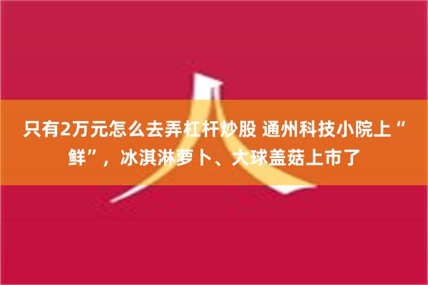 只有2万元怎么去弄杠杆炒股 通州科技小院上“鲜”，冰淇淋萝卜、大球盖菇上市了